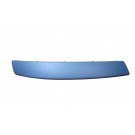Front Bumper Moulding