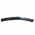 Front Bumper Moulding Outer