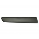 Door Moulding (Front) R/H