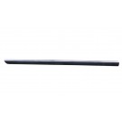 Door Moulding (Front/With Chrome Trim)