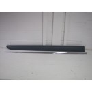 Door Moulding - Rear  - With Chrome Moulding