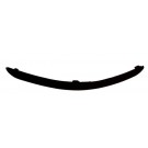 Front Bumper Moulding