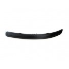 Front Bumper Moulding