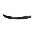 Front Bumper Moulding