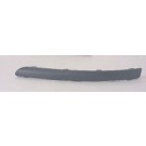 Front Bumper Moulding