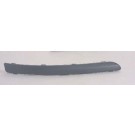 Front Bumper Moulding