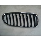 BMW Z4 2003-2009 Front Grille Section