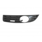 Ft Bumper Grille With Hole LH