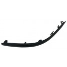 Ft Bumper Moulding Unprimed LH
