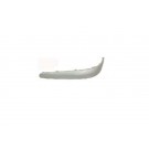 Ft Br Moulding - W/O PDS - LH