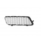 Ft Bumper Grille - Centre - LH