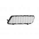 Ft Bumper Grille - Centre - RH