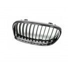 Ft Grille Chrome/Chrome/Blk LH