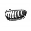 Ft Grille Chrome/Chrome/Blk RH