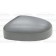 Ford Focus 2014- Door Mirror Cover Primed N/S